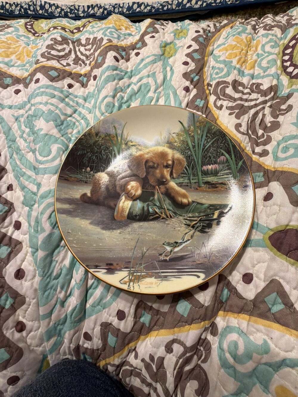 River Shore Catch of the Day Puppy Playtime Collector Plate